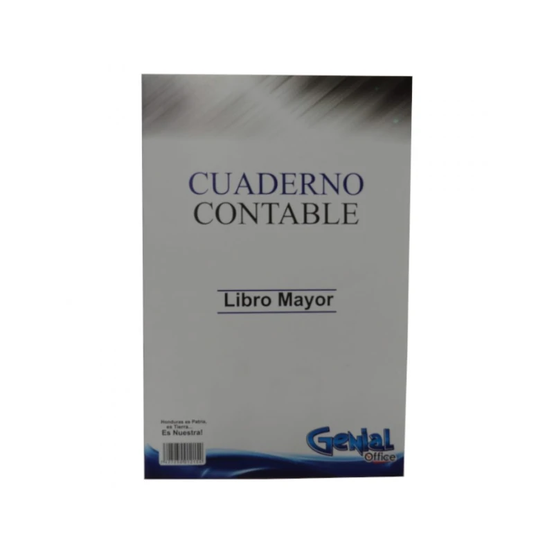 Libro Contable Mayor De 4 Columnas