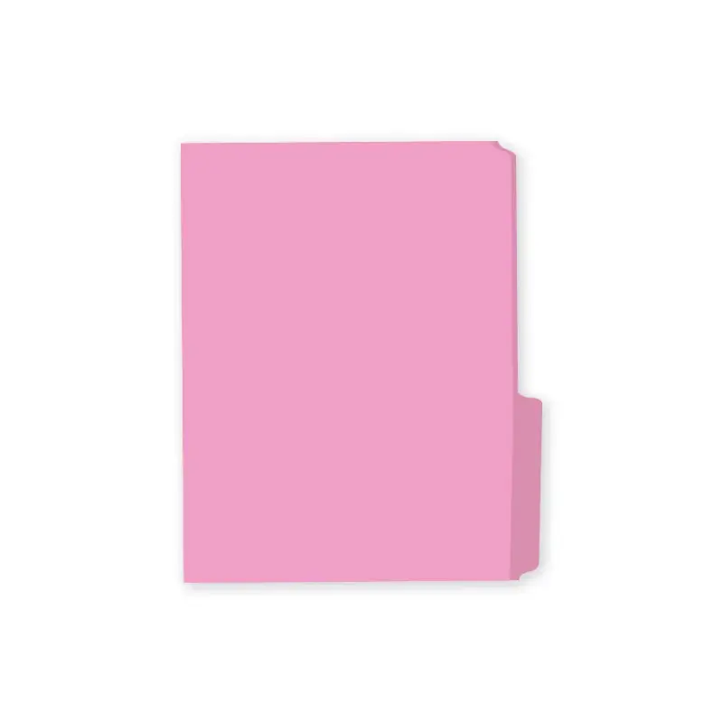 Folder Tamaño Carta Rosado Mis Pasitos