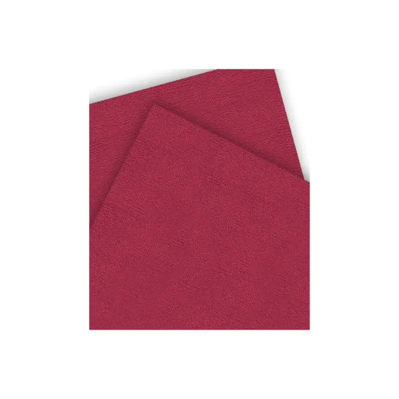 Cartulina Pliego Cascara Huevo Corinto 47x65cm