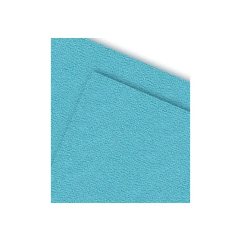Cartulina Pliego Cascara Huevo Celeste 47x65cm