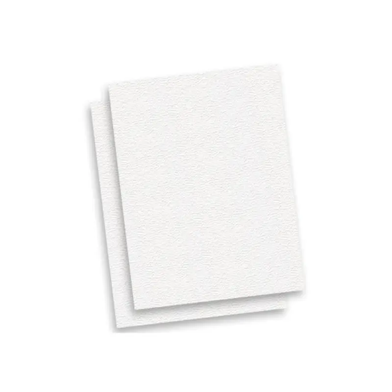 Cartulina Pliego Cascara Huevo Blanco 47x65cm