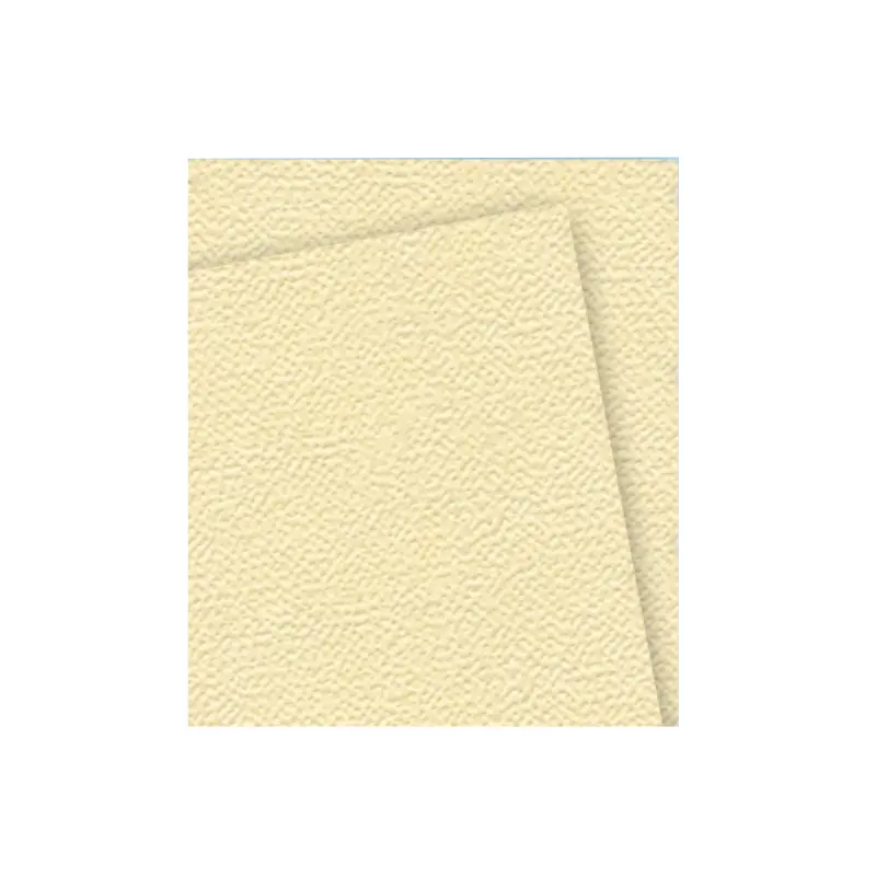 Cartulina Pliego Cascara Huevo Crema 47x65cm