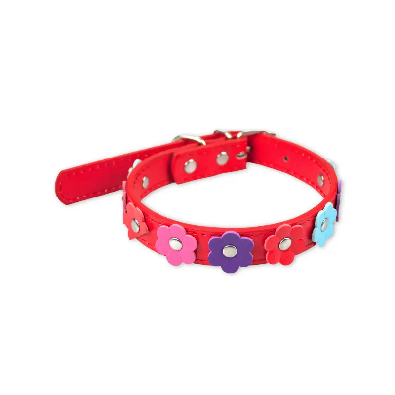 Collar Perro Surt 18
