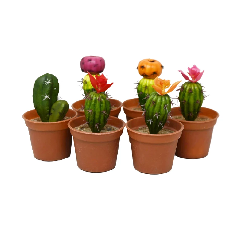 Cactus Artificial C/Masetera Surt