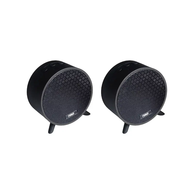 Parlante Naxa 5.0 5W Usb Negro Nas-3106D