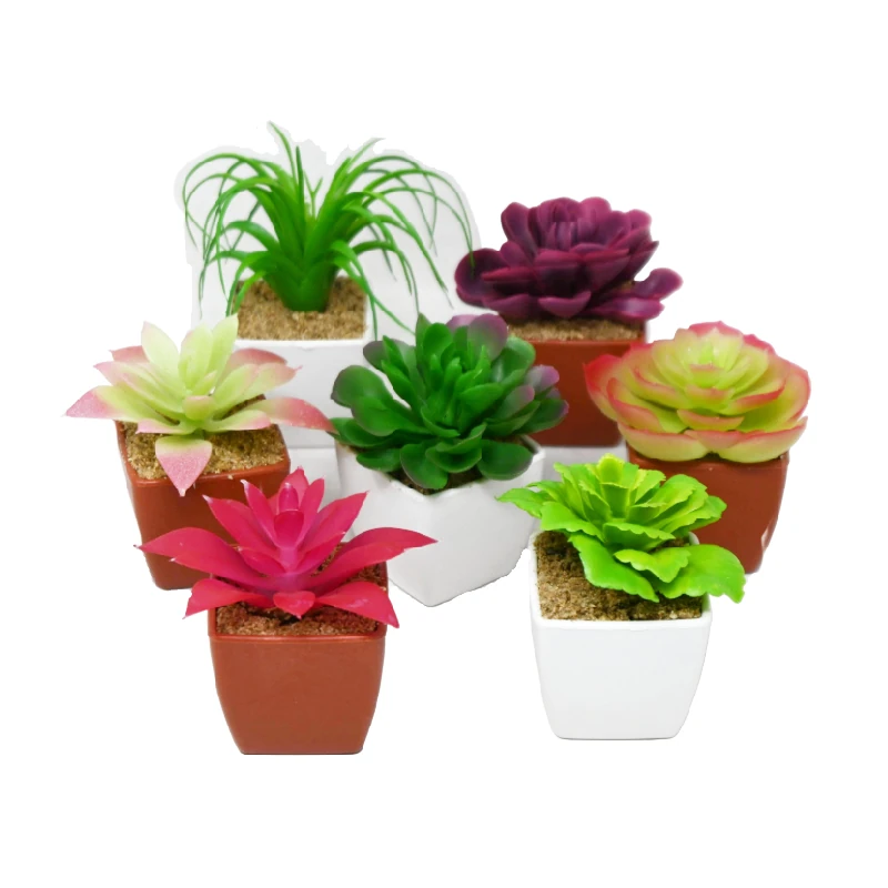 Flor Suculenta Artificial C/Masetera Col Surt