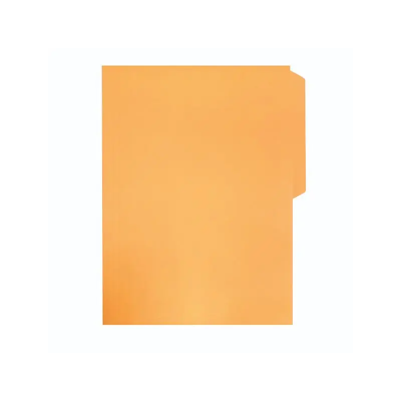 Folder Tamaño Carta Naranja Mis Pasitos